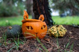 Halloween-Grusel in der Wilhelma